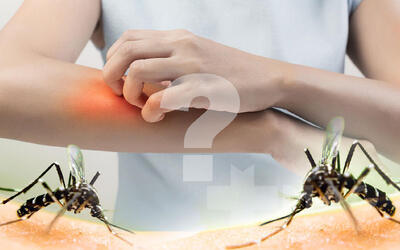 پشه ها جذب کدام گروه خونی می‌شوند؟🦟