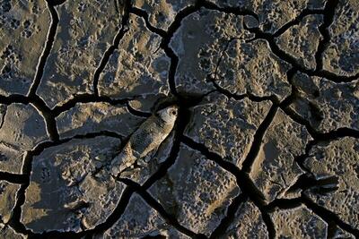 توهم ترسالی در کشور؛ ایران وارد چهارمین سال خشکسالی پیاپی شد | اقتصاد24