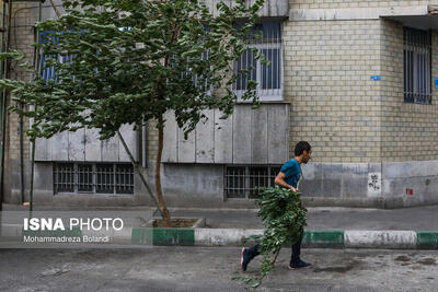 وزش باد شدید در تهران/ تداوم افزایش دما