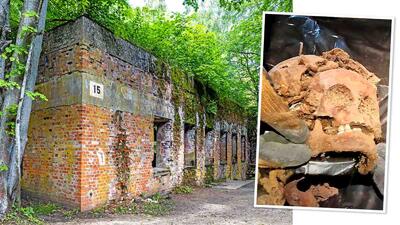 5 جسد در کف مخفیگاه آدولف هیتلر به نام «لانه گرگ» در لهستان کشف شد