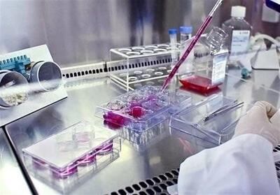 سرمایه‌گذاری 2 هزار میلیاردی در آزمایشگاه‌های بوشهر - تسنیم