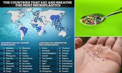 مردم کدام کشورها بیشترین ذرات میکروپلاستیک را استنشاق کرده و یا می‌خورند؟ (اینفوگرافی)