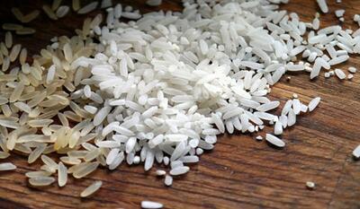 کاهش قیمت برنج