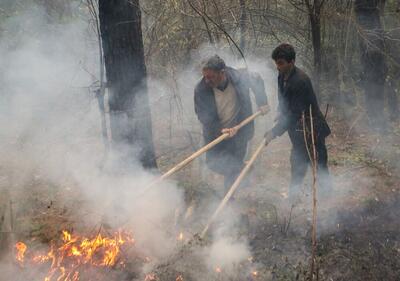 مهار آتش‌ شدید در جنگل‌ها و مراتع شلالدون باشت/ ورزش باد آتش‌سوزی را به ارتفاعات کشاند