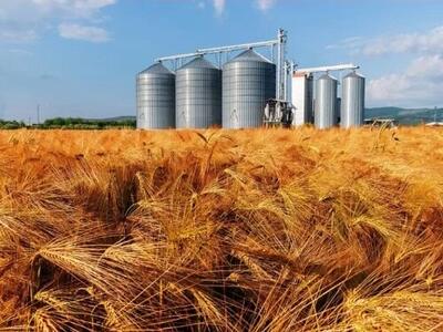 ۱۴سیلو در قزوین گندم کشاورزان را ذخیره‌سازی می‌کنند