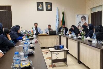 نشست تخصصی «مکتب هنر رضوی» در بوشهر برگزار شد