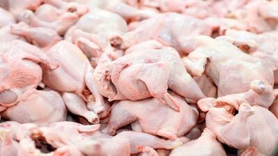 ارزانی قیمت مرغ در راه است | قیمت مرغ در بازار امروز 12 خرداد 1403 اعلام شد