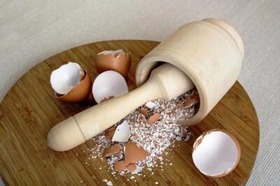 یک عمر پوست تخم مرغ رو اشتباهی دور می ریختیم | خواص و کاربرد پوست تخم مرغ که نمیدونستی!!!