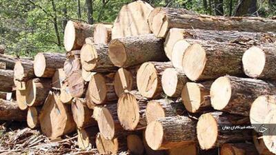 ۴ محموله چوب قاچاق در بوکان کشف شد