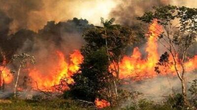 آتش دوباره به جان جنگل‌های زاگرس افتاد