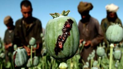 مجازات جرایم موادمخدر در افغانستان اعلام شد