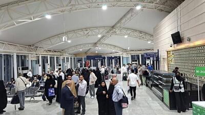 تازه‌ترین آمار زائران ایرانی در حج