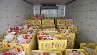یک چهارم تولید مرغ باید در سبد صادرات قرار بگیرد