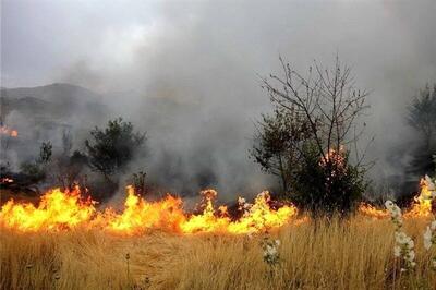 مجازات برای کشاورزانی که مزارع را آتش بزنند
