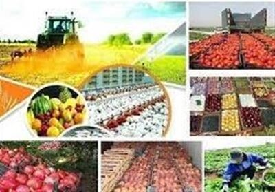 پیشرفت 100 درصدی طرح‌های زیربنایی بخش کشاورزی شیراز - تسنیم