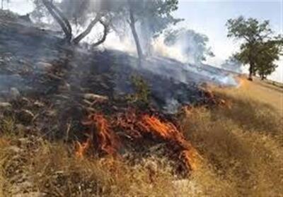 آتش‌سوزی در اراضی منطقه حفاظت‌شده هفت شهیدان - تسنیم