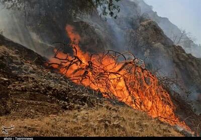 آتش دوباره در جنگل‌های کهگیلویه زبانه کشید - تسنیم