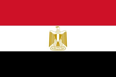 کابینه مصر استعفا داد+ جزئیات