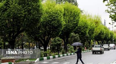 رگبار باران در برخی استان‌ها - مردم سالاری آنلاین