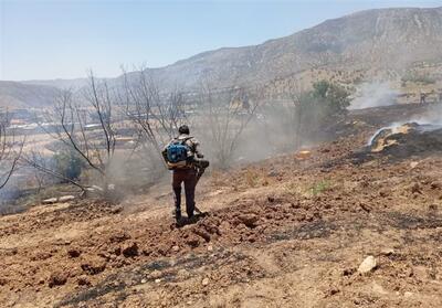 10هکتار از اراضی ملی معمولان در آتش‌سوزی سوخت - تسنیم