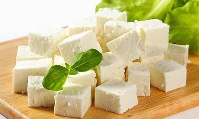پنیر بدنتان را فرسوده می‌کند | اقتصاد24