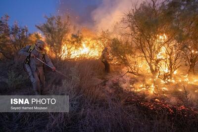 عکس/ آتش سوزی در پارک ملی کرخه | اقتصاد24