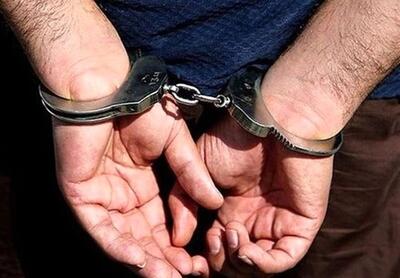سارق کارت های بانکی افراد سالمند در اردبیل دستگیر شد