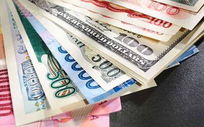 شش شرط ضروری برای پیاده‌سازی ارز چندنرخی