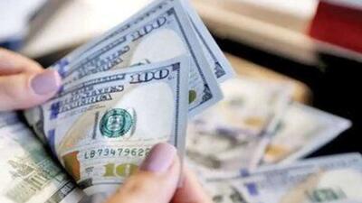 قیمت دلار، یورو، درهم و دینار ۱۷ دی۱۴۰۳ / درهم امارات چند؟