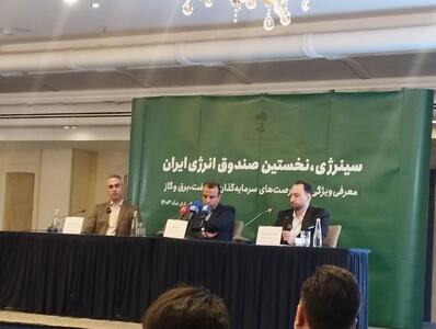 صندوق سینرژی در مسیر کسب بازدهی و رفع ناترازی