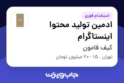 استخدام ادمین تولید محتوا اینستاگرام - خانم در کیف فامون