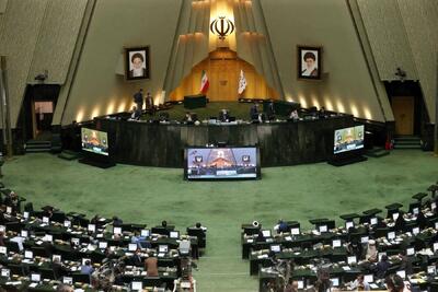 نمایندگان مجلس موی دماغ دولت هستند!
