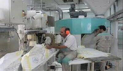 ساخت ۱۰ کارخانه آرد توسعه سواحل مکران و اشتغال سیستان و بلوچستان را متحول می کند