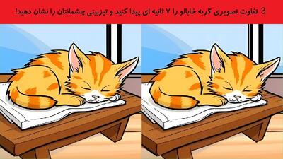 3 تفاوت تصویری گربه خابالو را 7 ثانیه ای پیدا کنید و تیزبینی چشمانتان را نشان دهید