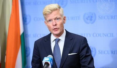 دیدار گروندبرگ با معاون سیاست خارجی دبیرخانه شورای عالی امنیت ایران