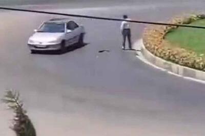 ببینید | رفتار بی‌نظیر شهروند شیرازی پس از دیدن فرورفتگی در آسفالت خیابان