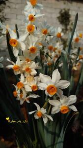 کلیپ زیبای روز پدر با صدای چاوشی