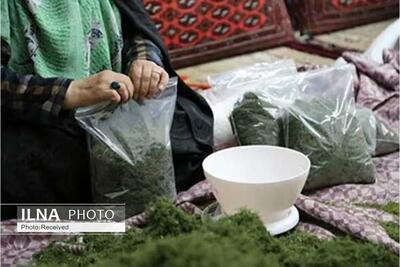 تحول چشمگیر در مشاغل خانگی البرز؛ صدور ۲۸۰۰ مجوز و ایجاد فرصت‌های نوین