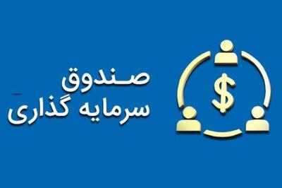 صندوق سرمایه گذاری بخشی داریوش پذیره نویسی می شود