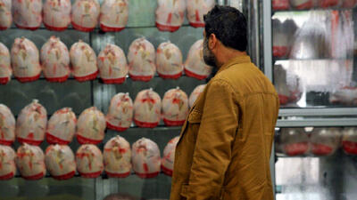 ضرر مرغداران نجومی شد / در هر کیلو 6 تا 10 هزار تومان زیان!