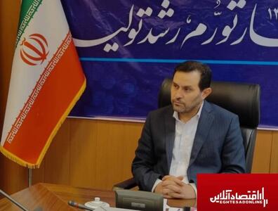 ناترازی‌های انرژی و کمبود نیروی کار مهمترین چالش‌ تولیدکنندگان البرز/ ۶۰ واحد صنعتی احیاء شد