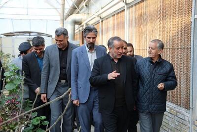 استاندار: نگاه کلان در خراسان جنوبی توسعه اقتصادی است