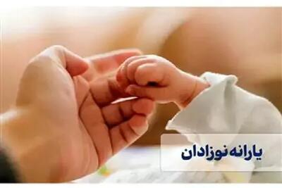 سایت یارانه های مادران/گام جدید دولت برای حمایت از مادران با واریز یارانه معیشتی(یسنا) اندیشه معاصر