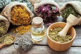 پیشنهاد پوشش بیمه‌ای داروهای گیاهی/ اختلال در تشخیص بیماری‌های اعصاب و روان در صورت استفاده همزمان داروی سنتی و شیمیایی
