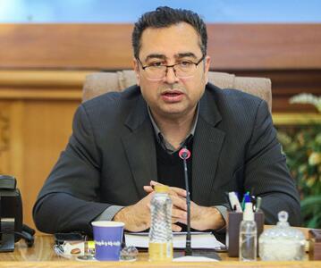 معاون مسکن وزیر راه و شهرسازی : پرداخت اجاره‌ در توان قشر کم در آمد و طبقه متوسط نیست