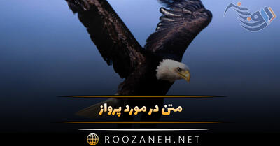 متن در مورد پرواز در آسمان؛ جملات فلسفی و عاشقانه پرواز کردن