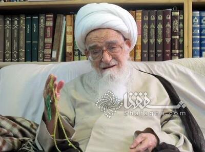 اکبری شاهرودی در گفت وگو با شفقنا: مخالفت آیت الله العظمی صافی با حضور زنان در مجلس خبرگان/ روایت این مرجع فقید از جریان تدوین قانون اساسی |  شفقنا