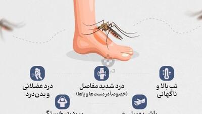 آشنایی با بیماری چیکونگونیا