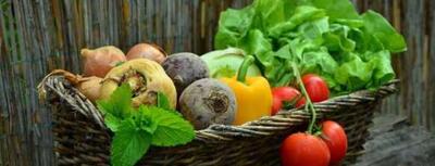 خوردن سبزیحات خام بهتر است یا سبزیجات پخته شده؟ اندیشه معاصر