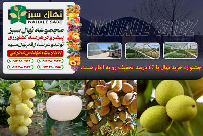 جشنواره خرید نهال با 67 درصد تخفیف رو به اتمام هست
